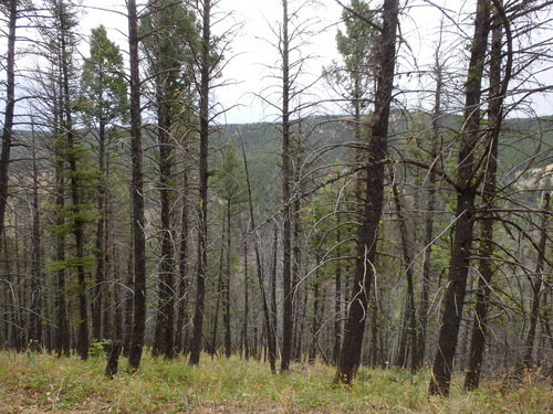 GDMBR: Our view to the south.